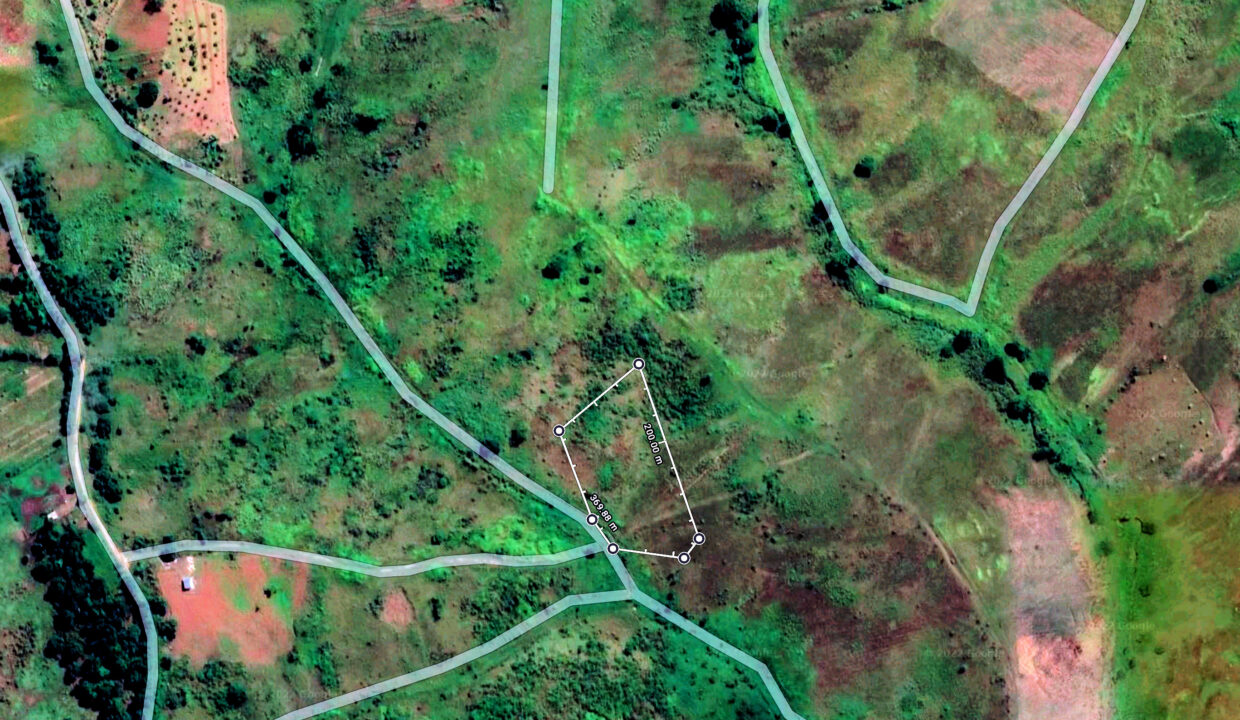 Aerial View (Google Maps)