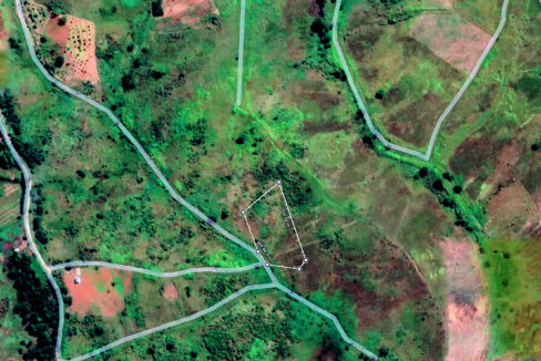 Aerial View (Google Maps)